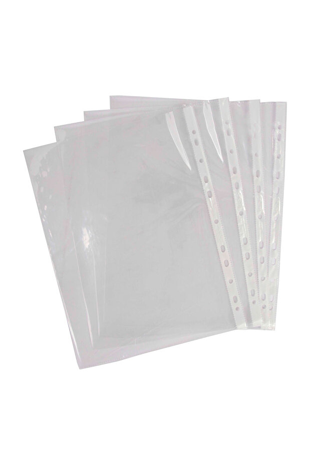 Clear Perforated File - 2