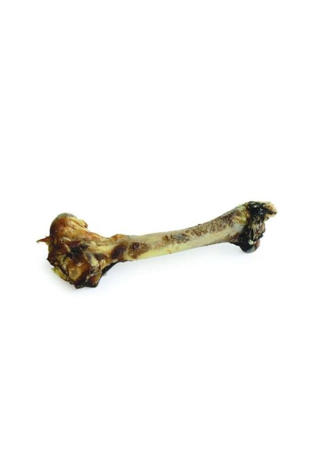Whole Venison Shank Bone Dog Chew - 700 g