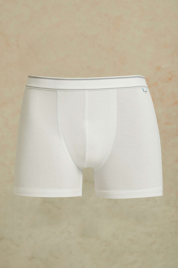 Deale White Boxer - 1