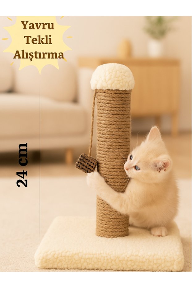 Kitten Exercise Scratching Board 24 cm Cream Color, Single Design, Ideal Size for Kittens