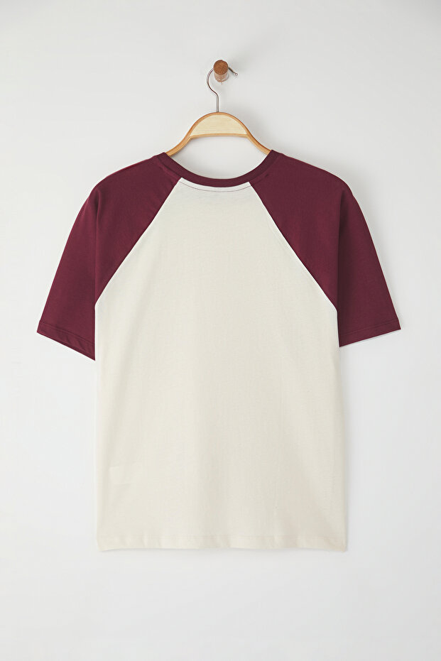 Taş %100 Kalın Pamuklu Renk Bloklu Sloganlı Relaxed/Rahat Kesim Örme T-Shirt TWOSS24TS00134 - 6