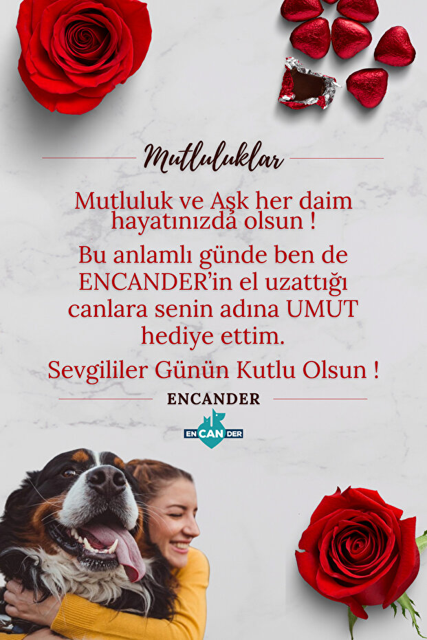 DİJİTAL DESTEK KARTI