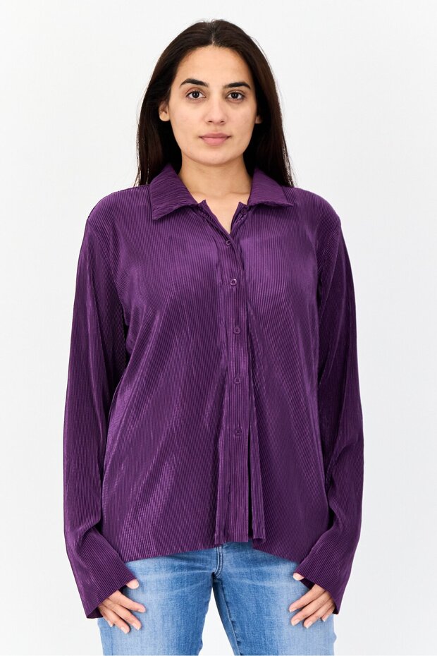 Women Pointed Collar Long Sleeve Textured Shirt, Purple