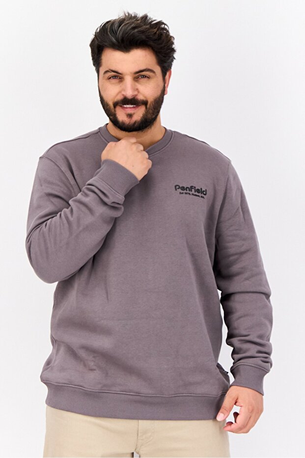 Men Crew Neck Brand Logo Long Sleeves Sweatshirt, Grey
