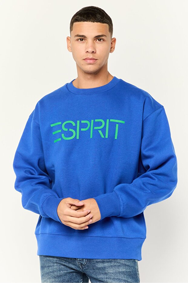 Men Crew Neck Long Sleeves Brand Logo Sweatshirts, Blue