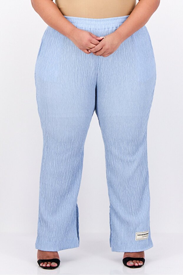 Women Regular Fit Wide Leg Textured Palazzo Pants, Light Blue