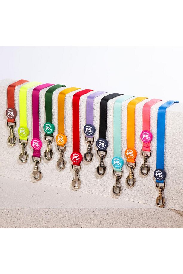 Neon Sarı Leash Kedi Köpek Sevk & Gezdirme Kayışı Köpek Uzatma Tasması - 8