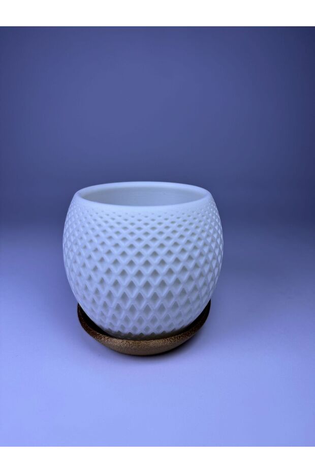 Dekoratif Premium Saksı - 6