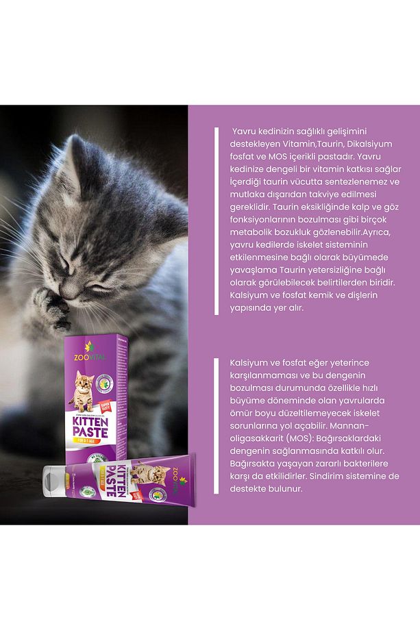 Kitten Paste Yavru Kedi Macunu Vitamin Deposu 100 gr - 4