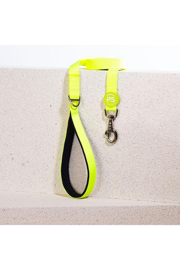 Neon Sarı Leash Kedi Köpek Sevk & Gezdirme Kayışı Köpek Uzatma Tasması - 1