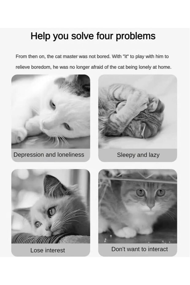 Cat Ball Toy, Interactive Cat Toy , Resistant to Biting and Teething Modelling Teasing Cat Toy - 3