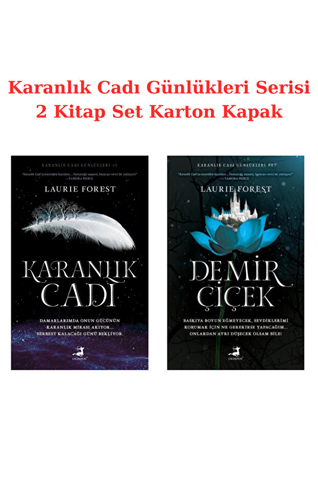 Karanlık Cadı - Demir Çiçek 2 Kitap KARTON KAPAK