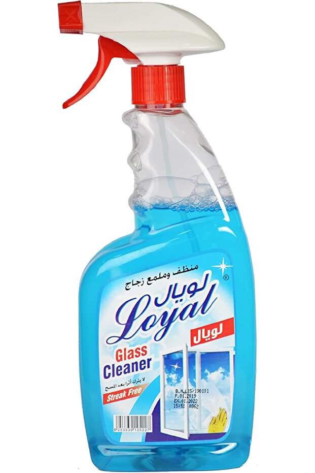 Glass Cleaner Spray - 750 ml