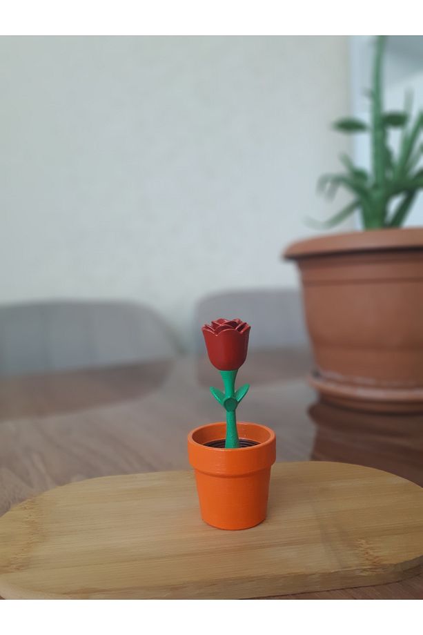 Saksılı Çiçek Seti, Dekoratif Eşya, Biblo - 6