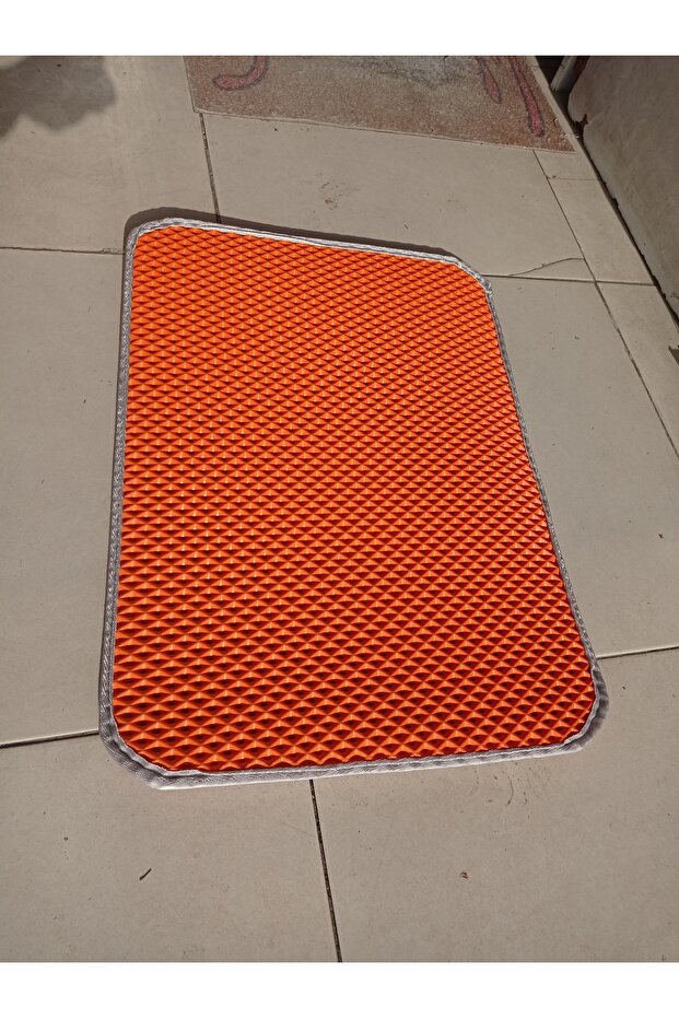 ممسحة القط - 1