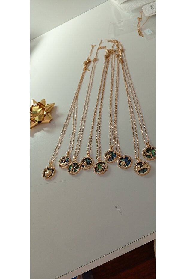 Balık Burcu Çelik Kolye - 2