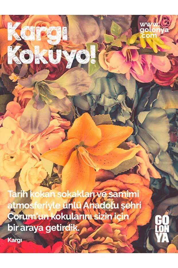 Kargı - 250 ml Cam Şişe - 6