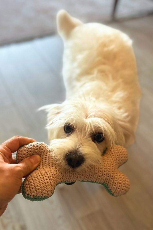 Kemik ve Top Köpek Oyuncağı Seti - 5