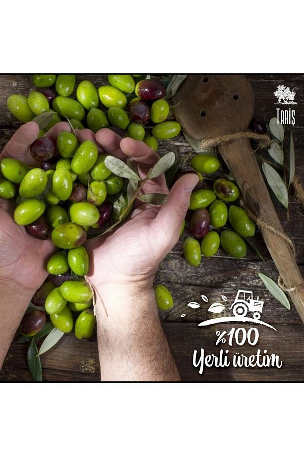 Güney Ege Bölgesi Naturel Sızma Zeytinyağı 5 Lt. Teneke - 3