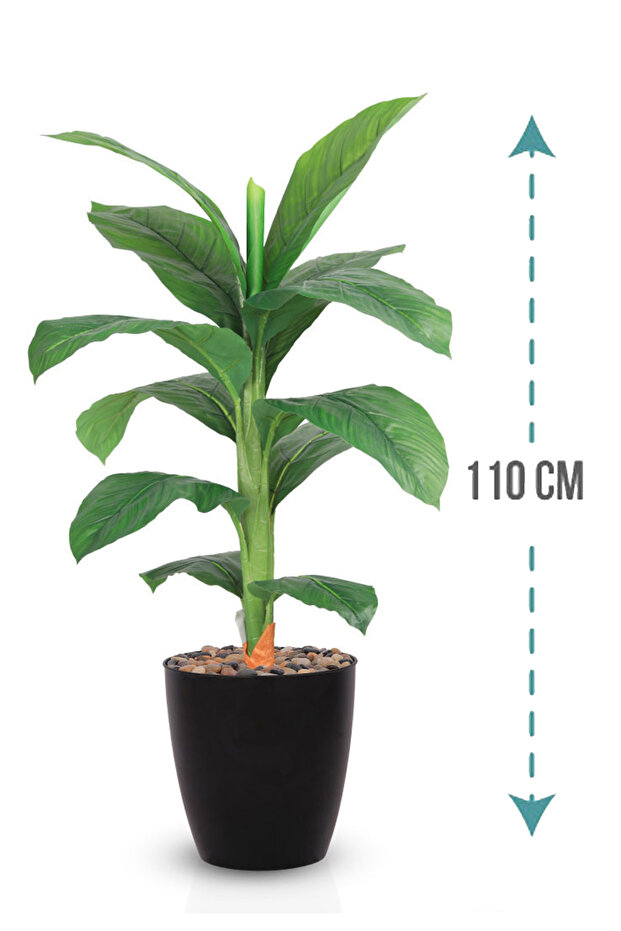 Small banana leaf tree in a plastic container - 1