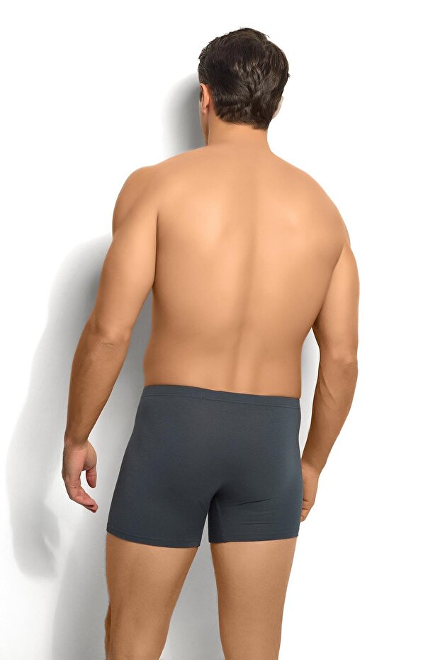 Erkek Bambu Füme Boxer 278 - 3