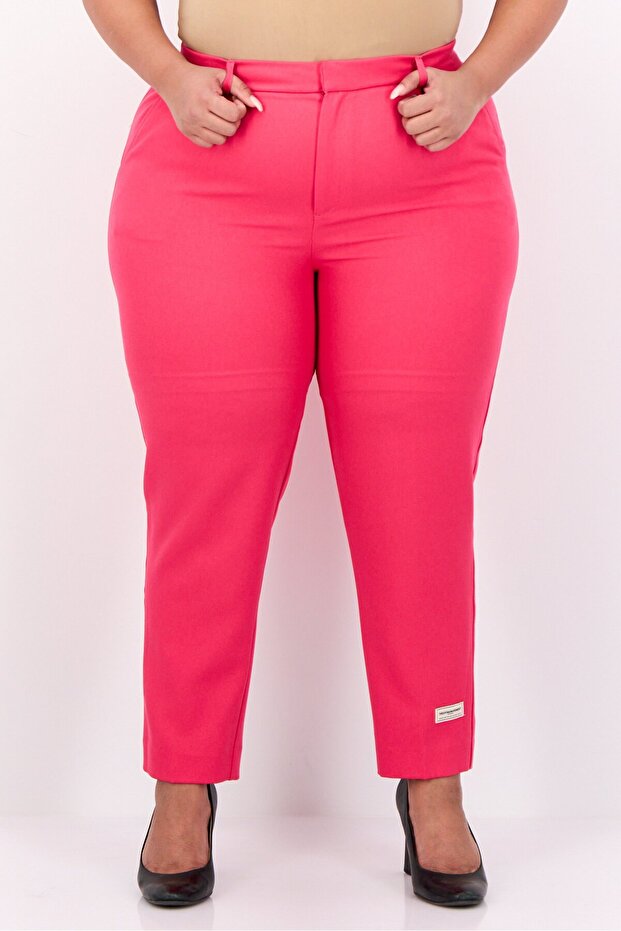 Women Regular Fit Embroidered Tapered Pants, Pink