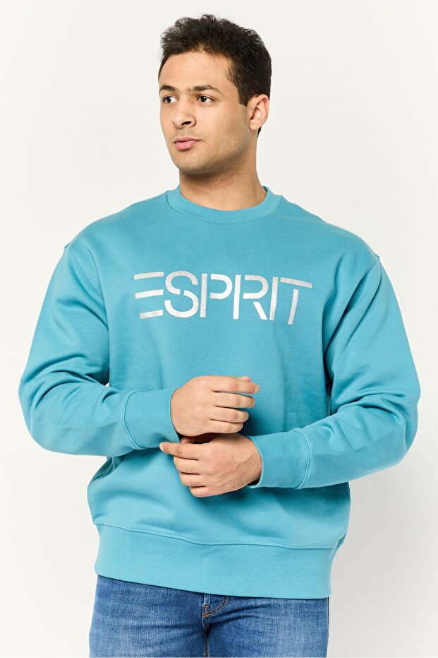 Men Crew Neck Long Sleeves Brand Logo Sweatshirts, Teal Blue