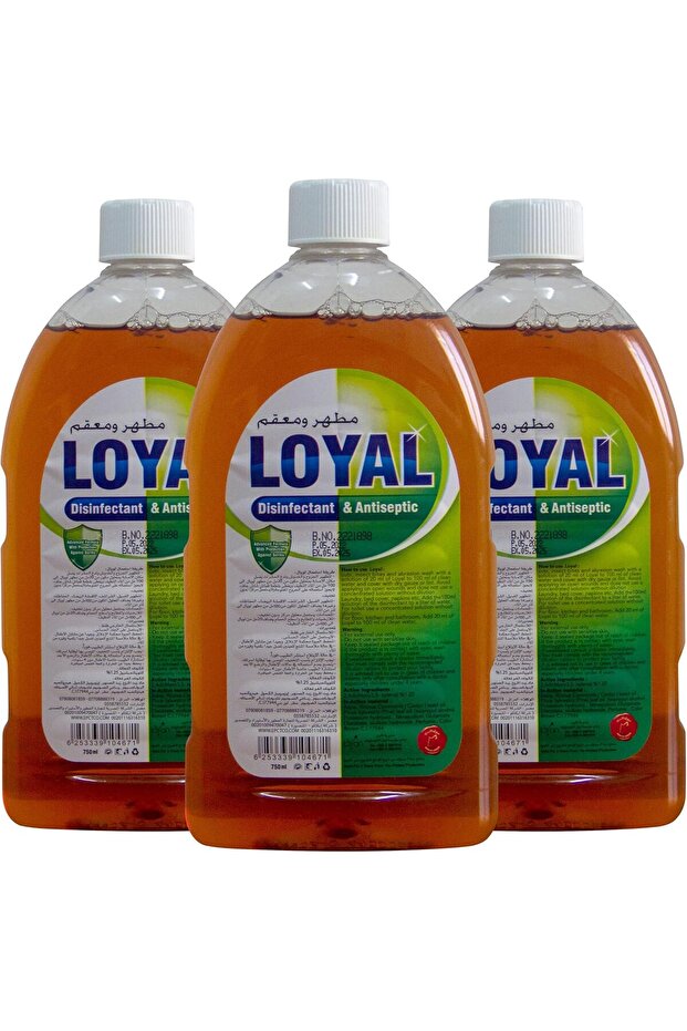 Disinfectant & Antiseptic Liquid 750 ml pack of 3