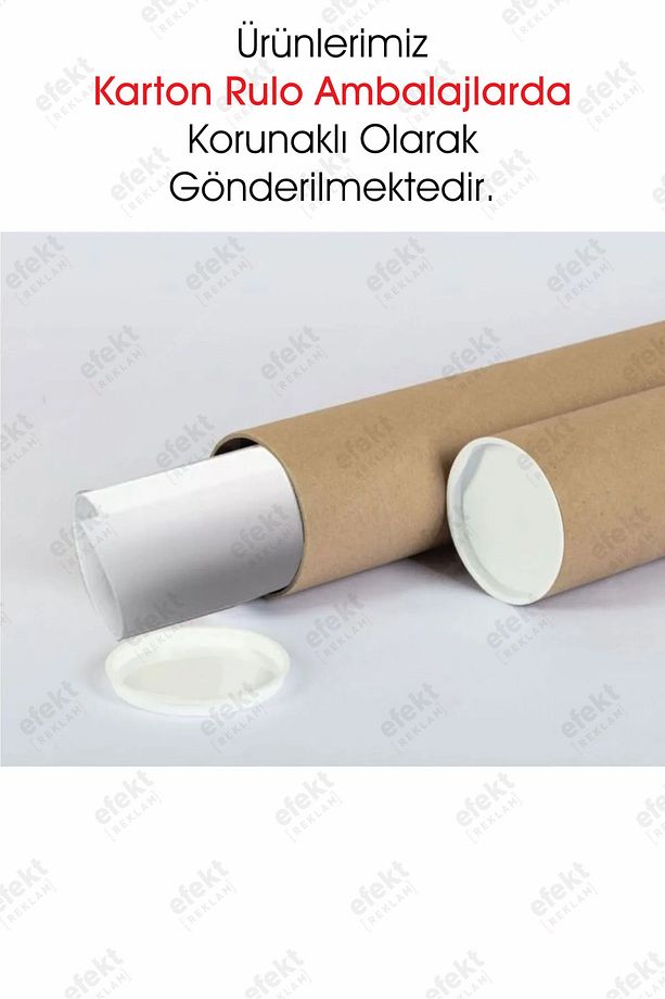 Çayır Çiçekleri Salon-Oturma Odası Kapı-Duvar Yapışkanlı Sticker Seti - 8