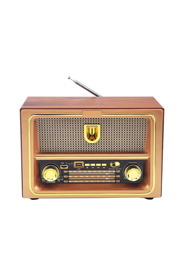DX2444 Rechargeable HI-FI Radio with Remote Control, Large Capacity Battery - 6