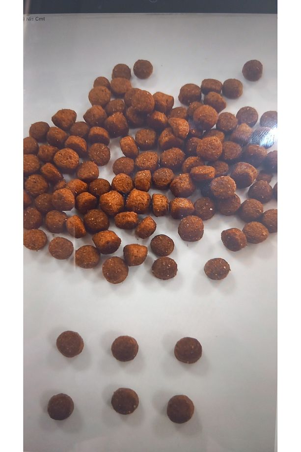 HOW&MEOW YAVRU KUZULU&PİRİNÇLİ KÖPEK MAMASI 15 KG - 2