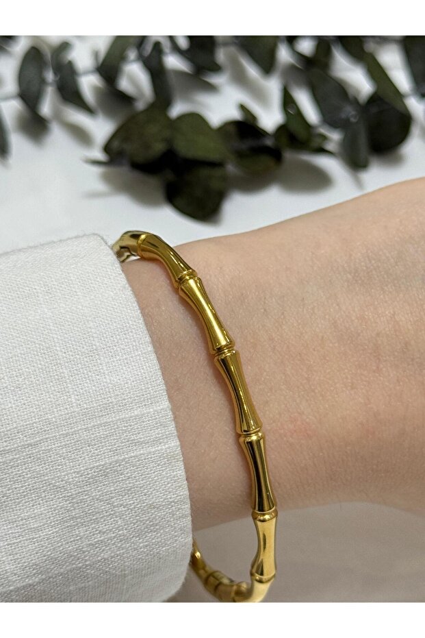 أصفاد العظام الفولاذية - 3