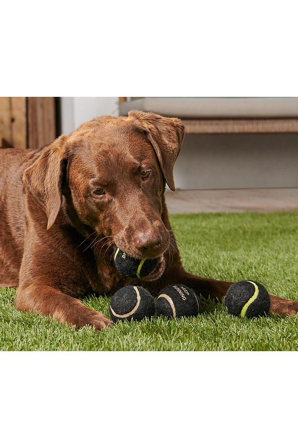 Köpekler Için 4 Adet Top - 1