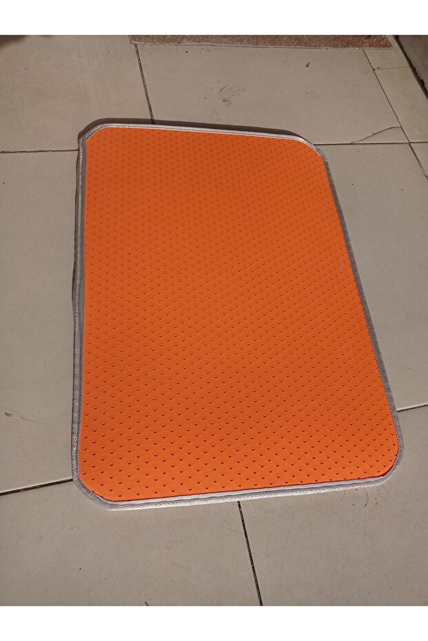 ممسحة القط - 2