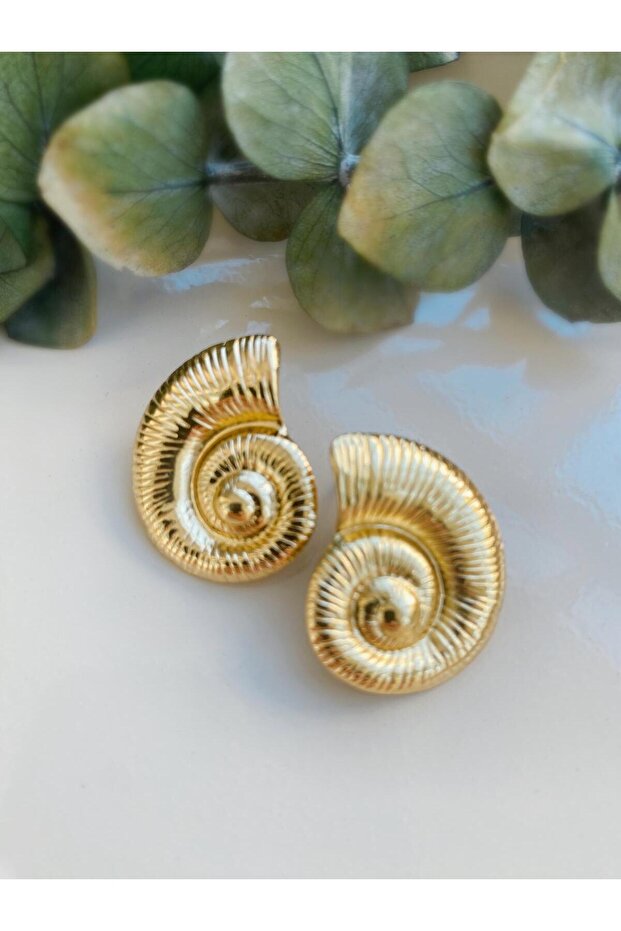 أقراط صدف - 1