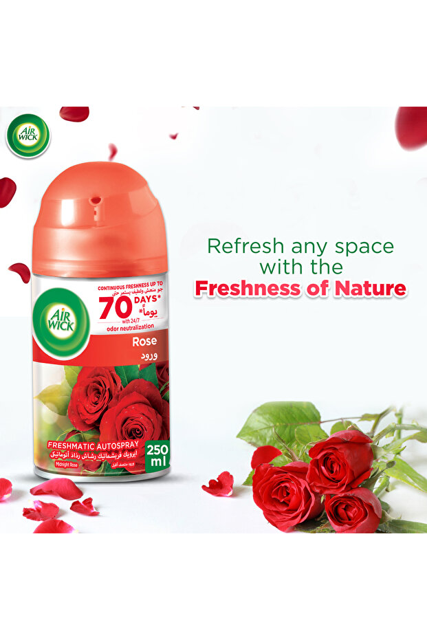 Freshmatic Autospray Refill, Rose Scent, 250ml x 3