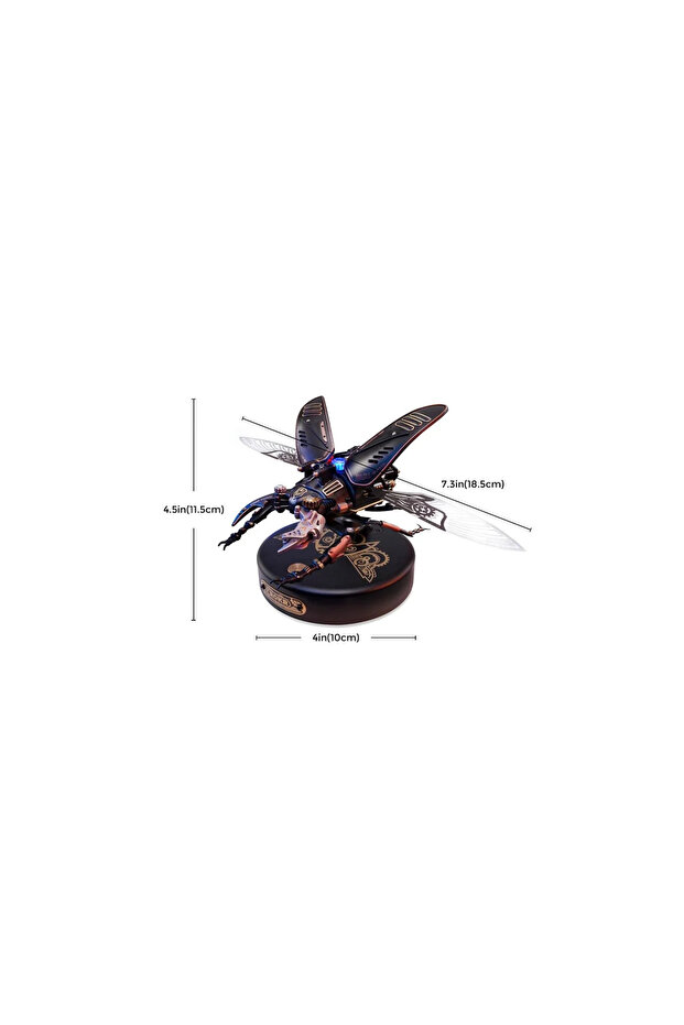 Robotime Stag Beetle MI03 - 6