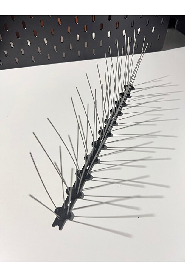 Kuşsever strong - 3