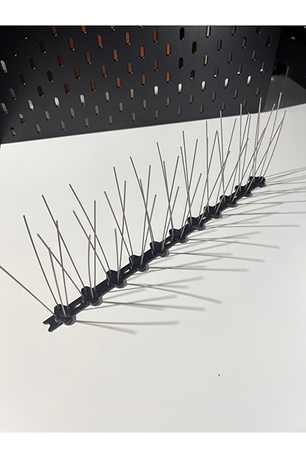 Kuşsever strong - 4