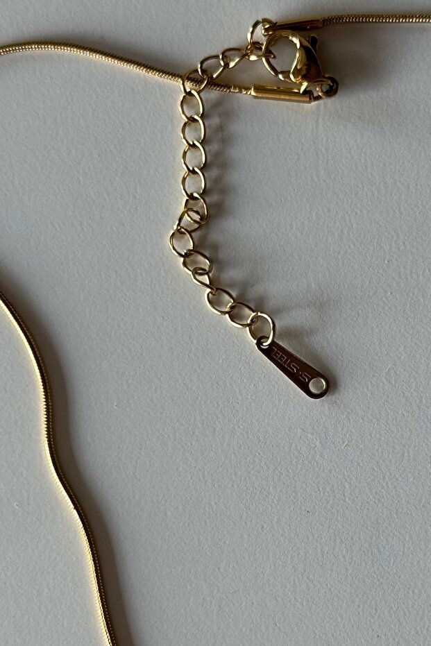 Turtle Lost in Sea Çelik Kolye - 5