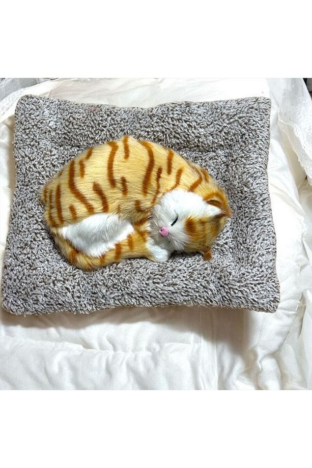 UYUYAN PELUŞ KEDİ 4 FARKLI REKLİ - 2