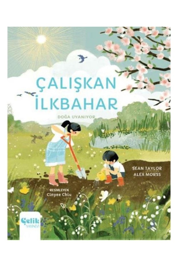 Hardworking Spring Nature Awakens / Çelik Yayınevi / Sean Taylor , Alex Morss