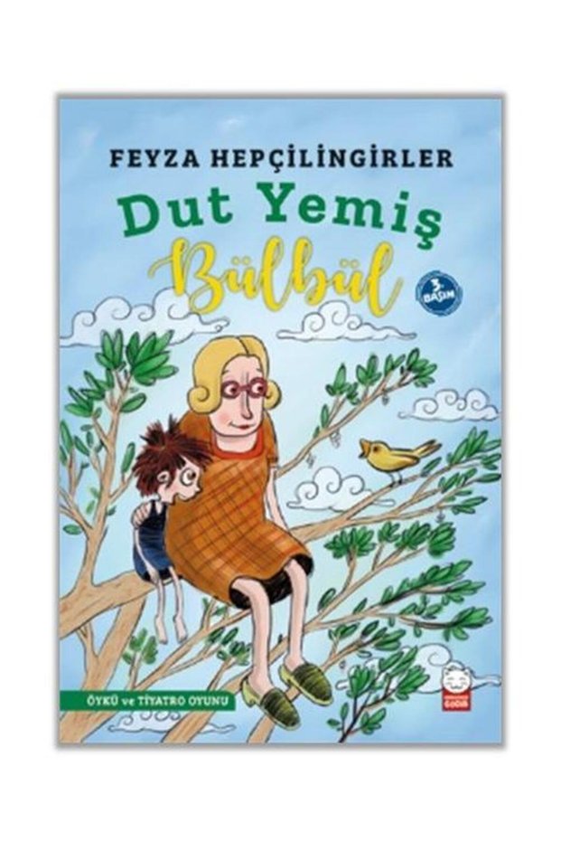 Dut Yemiş Bülbül / Kırmızı Kedi Çocuk / Feyza Hepçilingirler