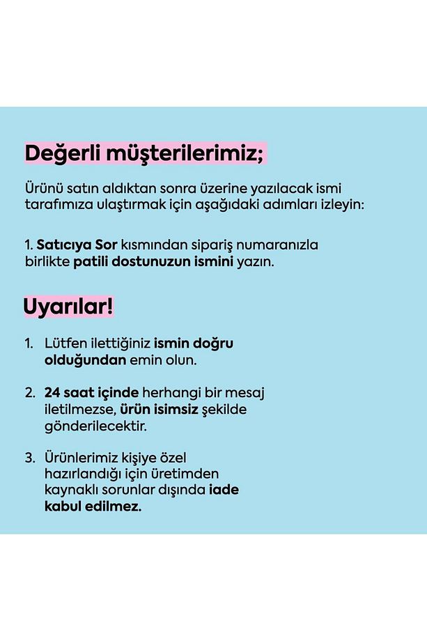 İsme Özel Güvenlik Amaçlı Kaçış Önleyici Kedi Gezdirme Tasması İsimli Kedi Gezdirme Göğüs Tasma Seti - 2
