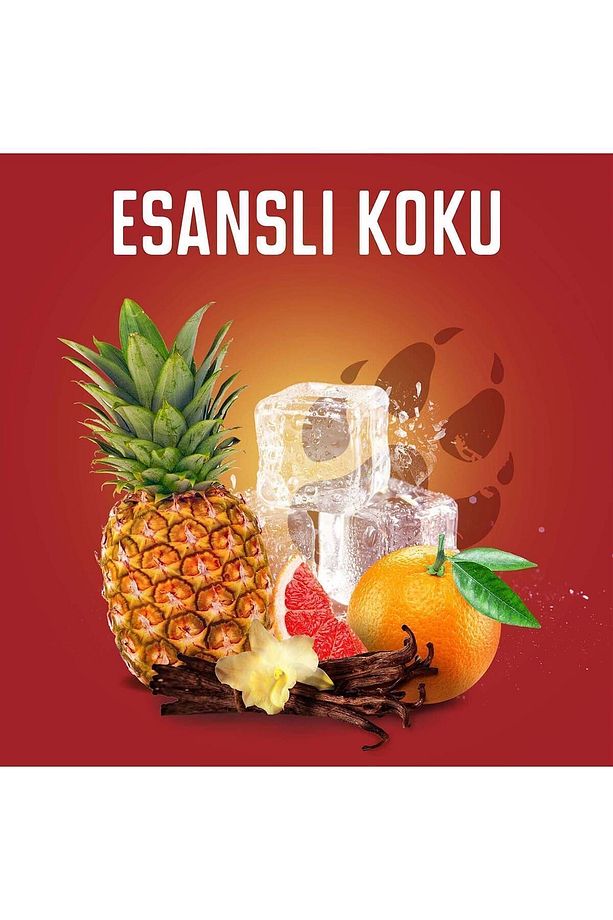 Wolfthorn Erkekler Için Stick Deodorant 50 ml - 5