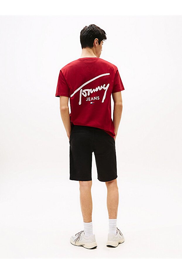 TJM SCANTON SHORT - 4
