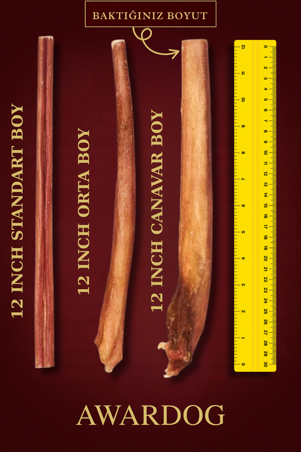 30 Cm Canavar Boy %100 Doğal Dana Kamışı | Köpek Çiğneme Ödül Maması | Uzun Süre Dayanıklı | 1 Adet - 5