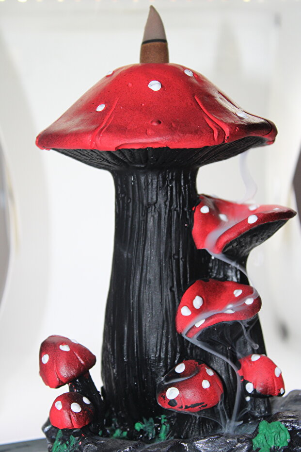 Mantar Geri Akış Tütsülük - 1