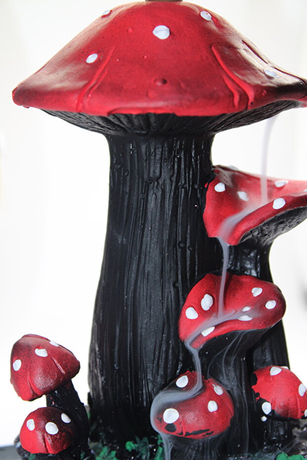 Mantar Geri Akış Tütsülük - 2