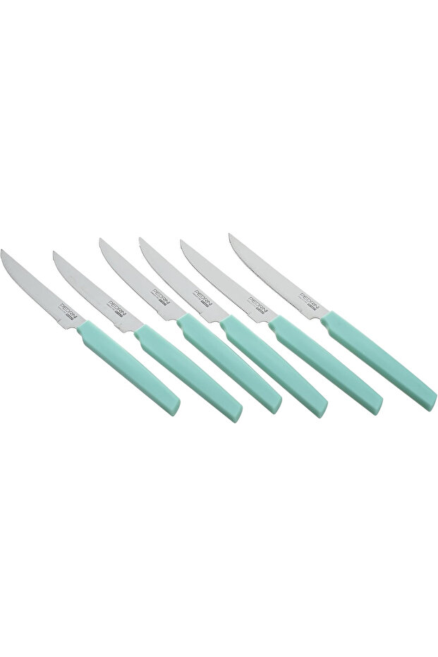 STEAK KNIVES SET 6PCS MINT HANDLE